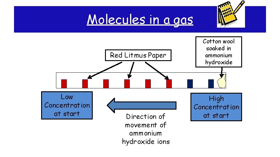 Molecules in a gas Red Litmus Paper Low Concentration at start Direction of movement