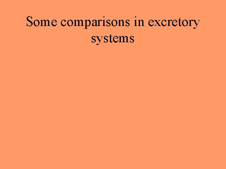 Some comparisons in excretory systems 