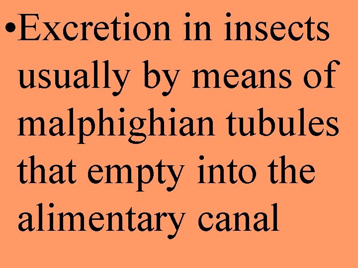  • Excretion in insects usually by means of malphighian tubules that empty into