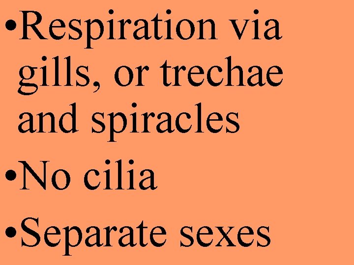  • Respiration via gills, or trechae and spiracles • No cilia • Separate