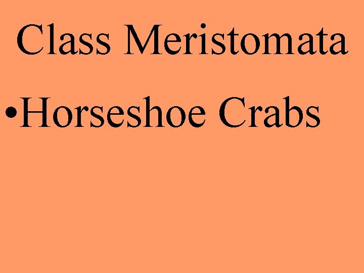 Class Meristomata • Horseshoe Crabs 