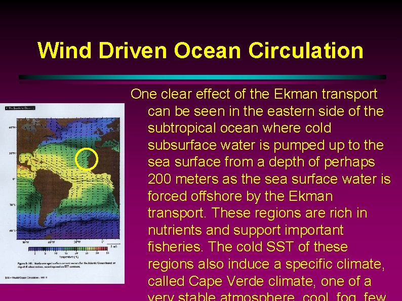 Wind Driven Ocean Circulation One clear effect of the Ekman transport can be seen