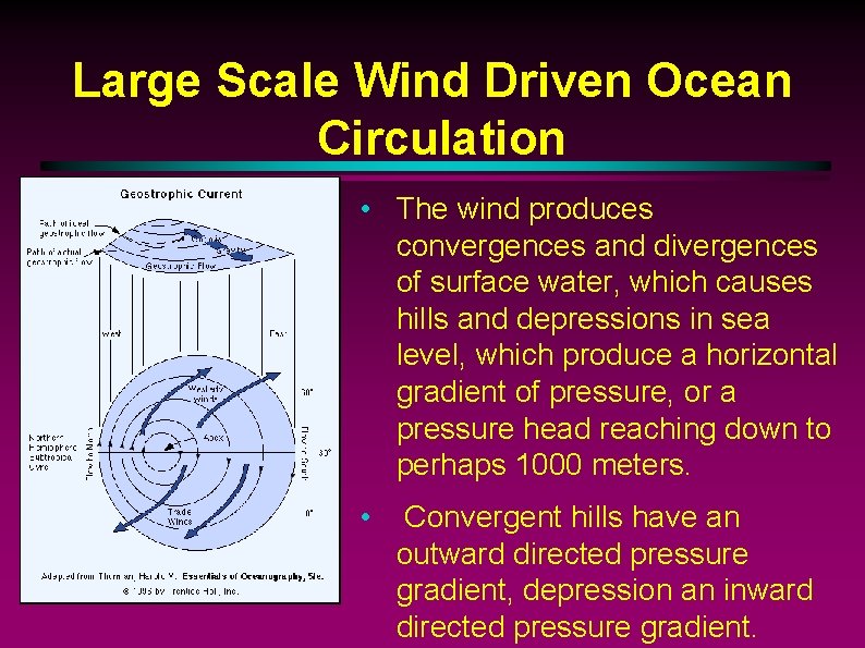 Large Scale Wind Driven Ocean Circulation • The wind produces convergences and divergences of