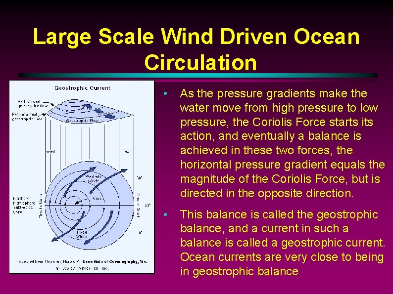 Large Scale Wind Driven Ocean Circulation • As the pressure gradients make the water