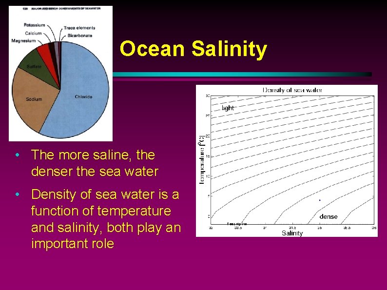 Ocean Salinity • The more saline, the denser the sea water • Density of