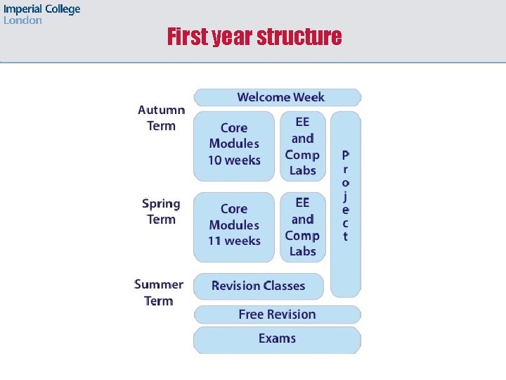 First year structure 