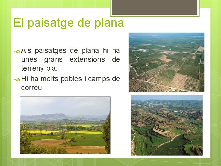 El paisatge de plana Als paisatges de plana hi ha unes grans extensions de