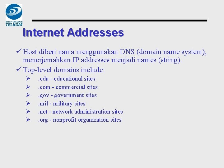 Internet Addresses ü Host diberi nama menggunakan DNS (domain name system), menerjemahkan IP addresses