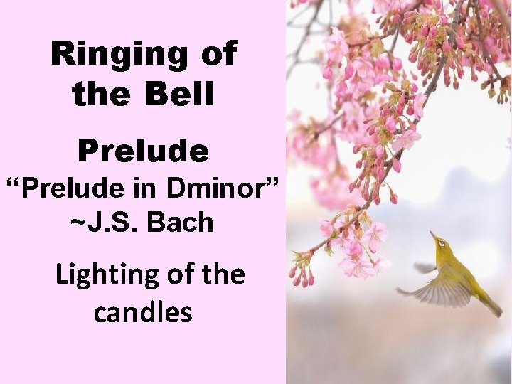 Ringing of the Bell Prelude “Prelude in Dminor” ~J. S. Bach Lighting of the