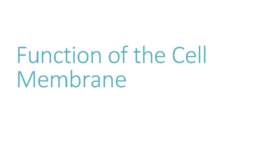 Function of the Cell Membrane 