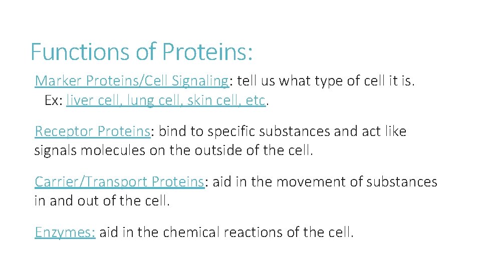 Functions of Proteins: Marker Proteins/Cell Signaling: tell us what type of cell it is.
