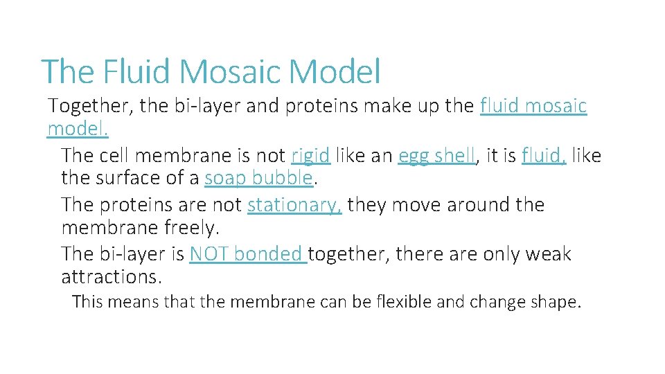 The Fluid Mosaic Model Together, the bi-layer and proteins make up the fluid mosaic