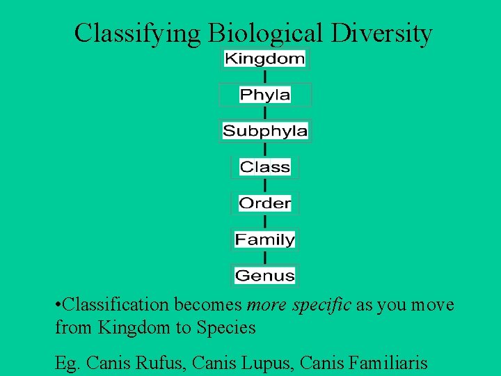 Classifying Biological Diversity • Classification becomes more specific as you move from Kingdom to