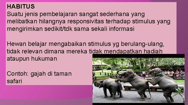 HABITUS Suatu jenis pembelajaran sangat sederhana yang melibatkan hilangnya responsivitas terhadap stimulus yang mengirimkan