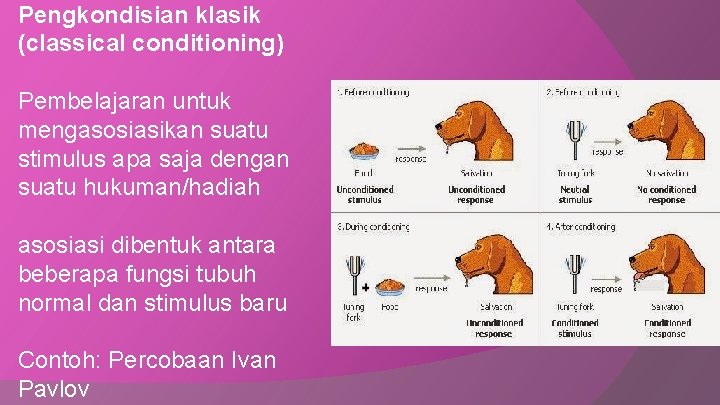 Pengkondisian klasik (classical conditioning) Pembelajaran untuk mengasosiasikan suatu stimulus apa saja dengan suatu hukuman/hadiah