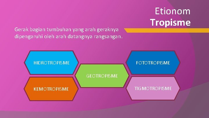 Gerak bagian tumbuhan yang arah geraknya dipengaruhi oleh arah datangnya rangsangan. Etionom Tropisme FOTOTROPISME