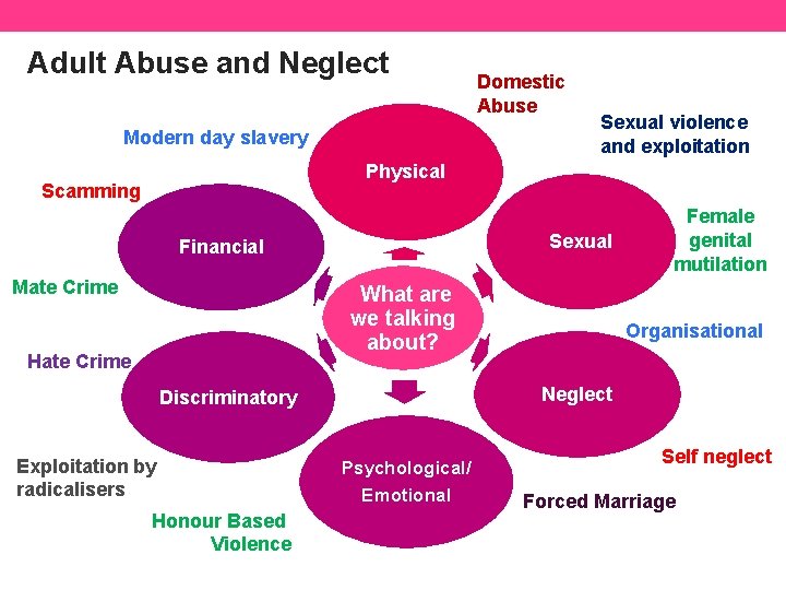 Adult Abuse and Neglect Modern day slavery Domestic Abuse Sexual violence and exploitation Physical