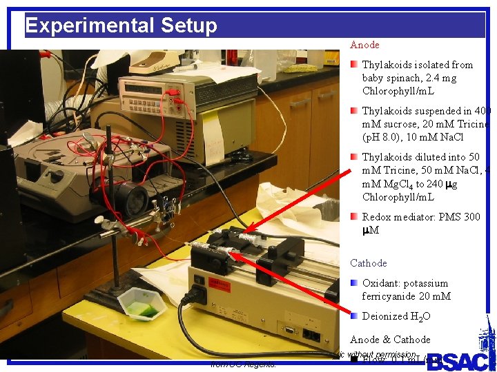 Experimental Setup Anode Thylakoids isolated from baby spinach, 2. 4 mg Chlorophyll/m. L Thylakoids
