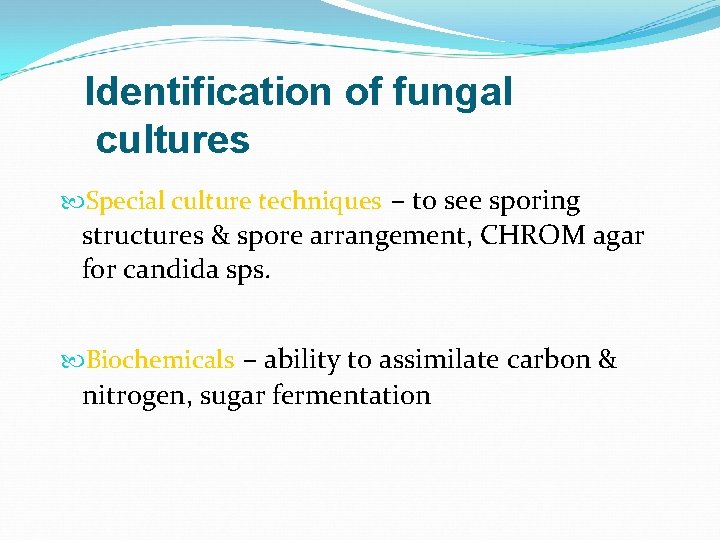 Identification of fungal cultures Special culture techniques – to see sporing structures & spore
