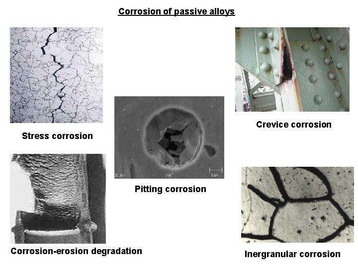 Corrosion of passive alloys Crevice corrosion Stress corrosion Pitting corrosion Corrosion-erosion degradation Inergranular corrosion