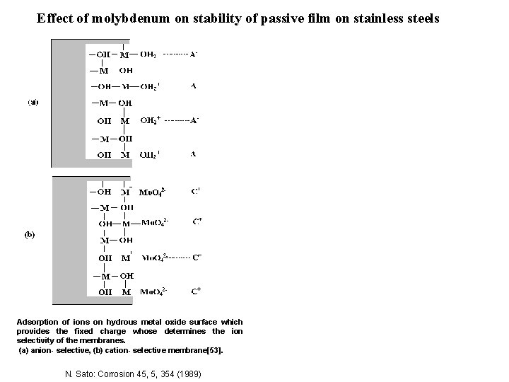 Effect of molybdenum on stability of passive film on stainless steels Adsorption of ions