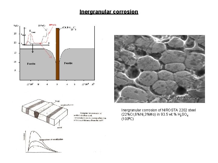 Inergranular corrosion of NIROSTA 2202 steel (22%Cr, 6%Ni, 3%Mo) in 93. 5 wt. %