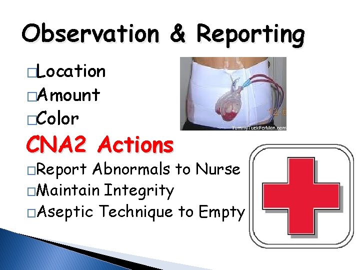 Observation & Reporting �Location �Amount �Color CNA 2 Actions �Report Abnormals to Nurse �Maintain