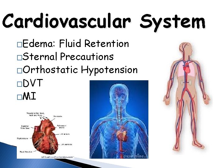 Cardiovascular System �Edema: Fluid Retention �Sternal Precautions �Orthostatic Hypotension �DVT �MI 
