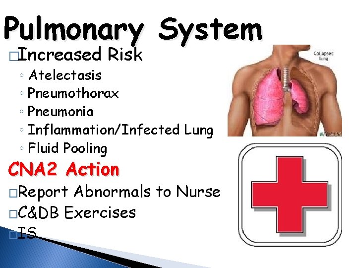 Pulmonary System �Increased Risk ◦ Atelectasis ◦ Pneumothorax ◦ Pneumonia ◦ Inflammation/Infected Lung ◦