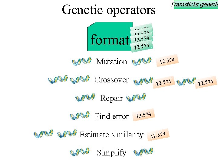 Framsticks genetic Genetic operators format 12. 557744 12. 574 Mutation 12. 574 Crossover 12.