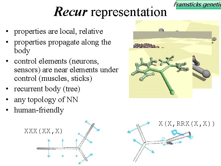 Recur representation Framsticks genetic • properties are local, relative • properties propagate along the