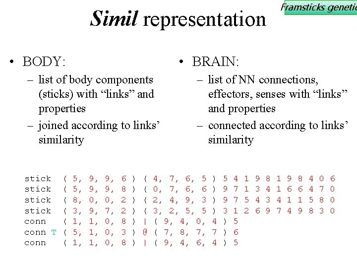 Simil representation • BODY: • BRAIN: – list of body components (sticks) with “links”