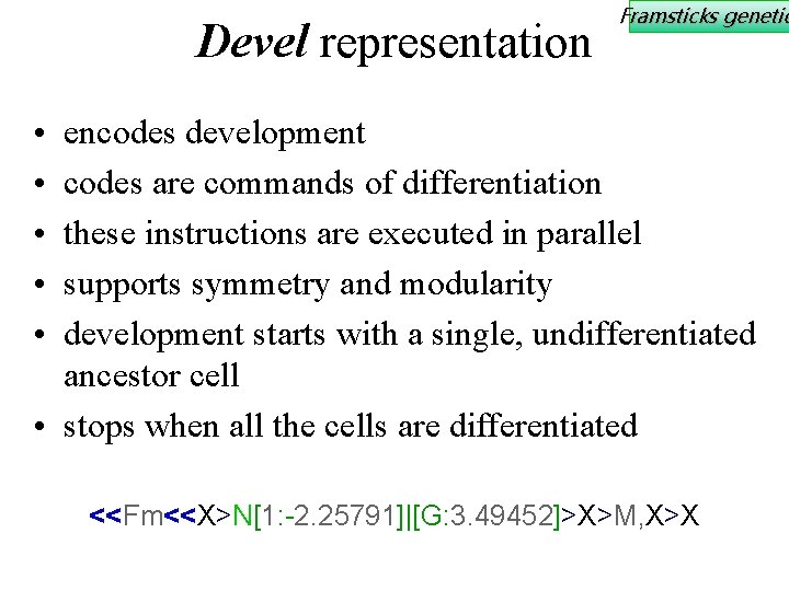 Devel representation Framsticks genetic • • • encodes development codes are commands of differentiation
