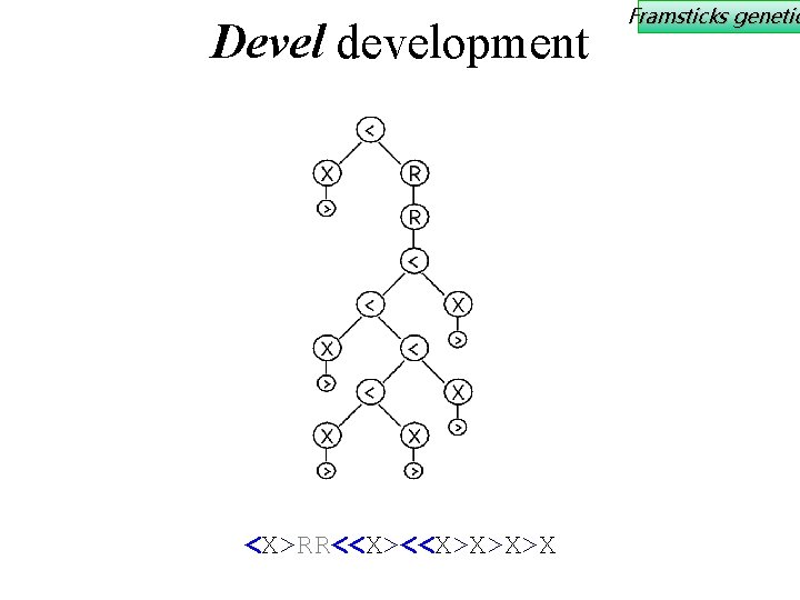 Devel development <X>RR<<X>X>X>X Framsticks genetic 