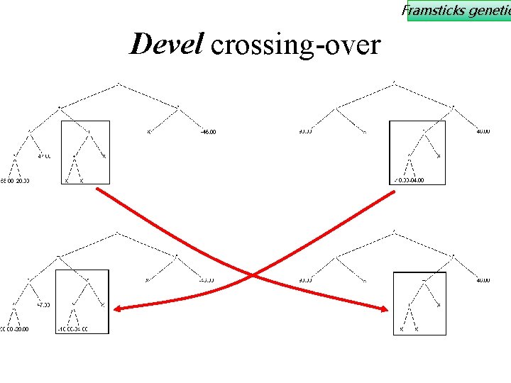 Framsticks genetic Devel crossing-over 