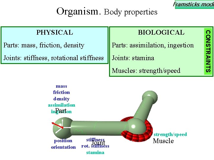Organism. Body properties BIOLOGICAL Parts: mass, friction, density Parts: assimilation, ingestion Joints: stiffness, rotational