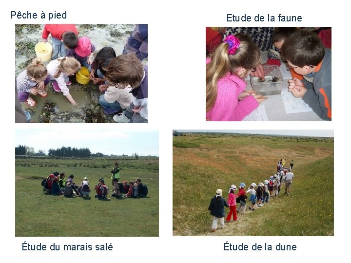 Pêche à pied Étude du marais salé Etude de la faune Étude de la