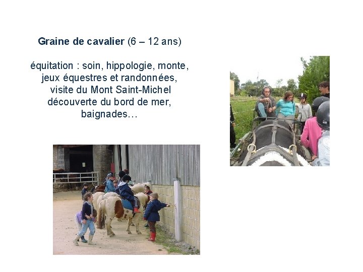 Graine de cavalier (6 – 12 ans) équitation : soin, hippologie, monte, jeux équestres