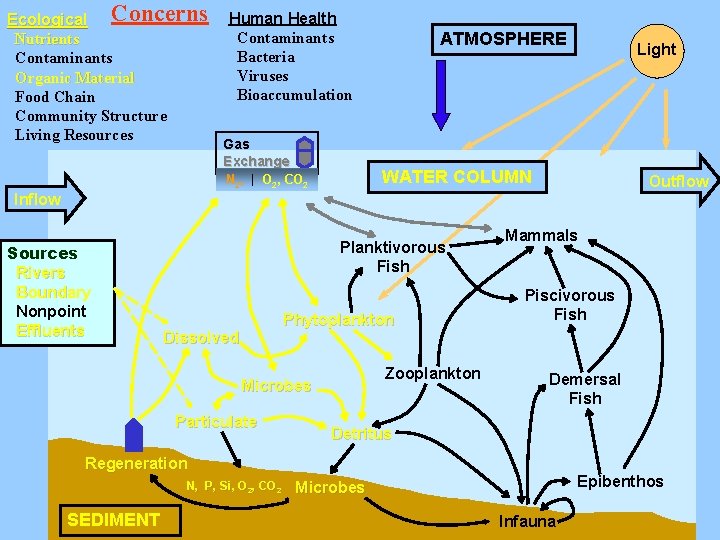 Concerns Ecological Nutrients Contaminants Organic Material Food Chain Community Structure Living Resources Human Health