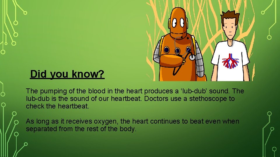 Did you know? The pumping of the blood in the heart produces a ‘lub-dub’