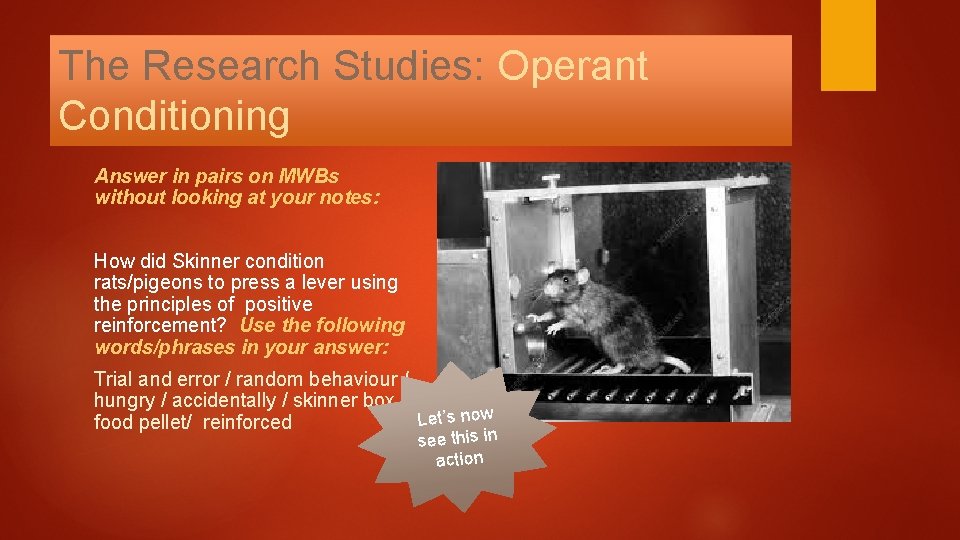 The Research Studies: Operant Conditioning Answer in pairs on MWBs without looking at your