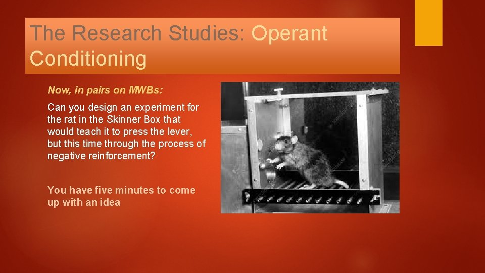 The Research Studies: Operant Conditioning Now, in pairs on MWBs: Can you design an