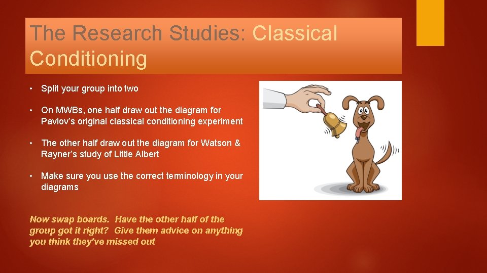 The Research Studies: Classical Conditioning • Split your group into two • On MWBs,