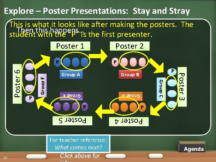 Explore – Poster Presentations: Stay and Stray This is what it looks like after