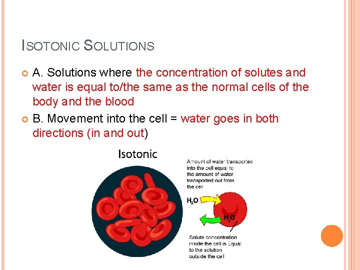 ISOTONIC SOLUTIONS A. Solutions where the concentration of solutes and water is equal to/the