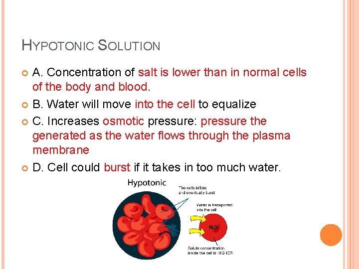 HYPOTONIC SOLUTION A. Concentration of salt is lower than in normal cells of the