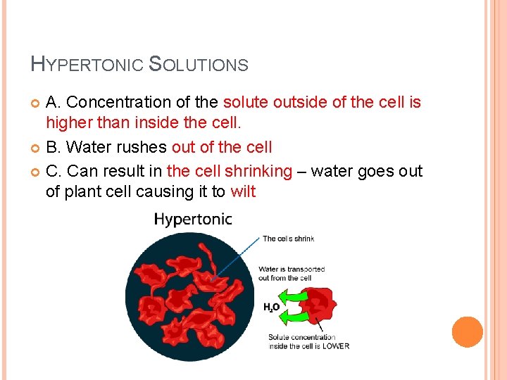 HYPERTONIC SOLUTIONS A. Concentration of the solute outside of the cell is higher than