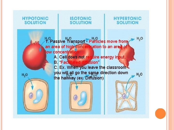 1. Passive Transport - Particles move from an area of high concentration to an