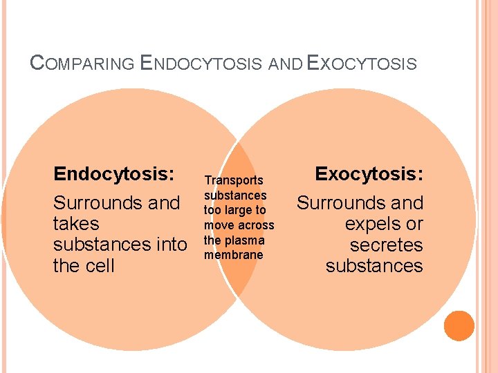 COMPARING ENDOCYTOSIS AND EXOCYTOSIS Endocytosis: Surrounds and takes substances into the cell Transports substances