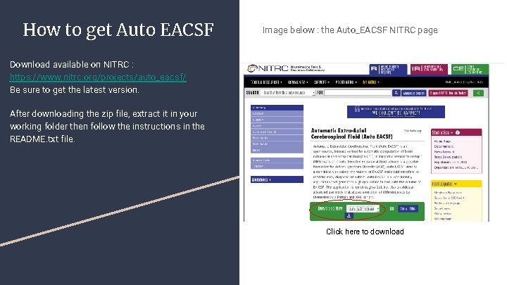 How to get Auto EACSF Image below : the Auto_EACSF NITRC page Download available
